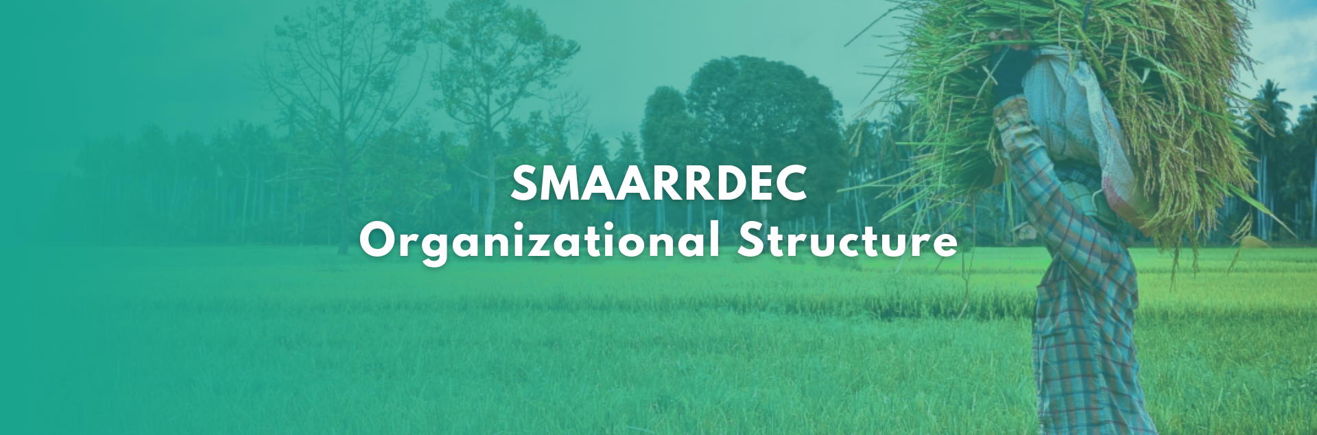 Organizational Structure