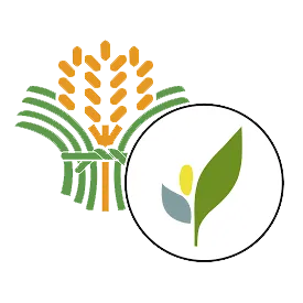 Bureau of Plant Industry Davao National Crops Research, Development and Production Support Centers Logo